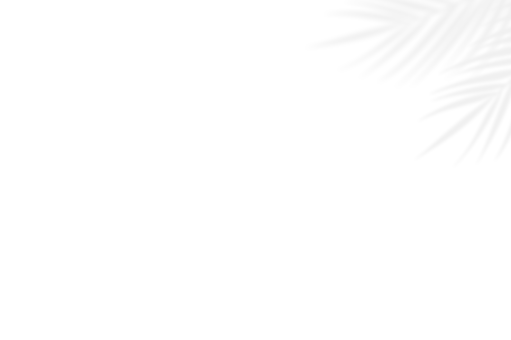Shadow-Overlay-Mockup-3.png