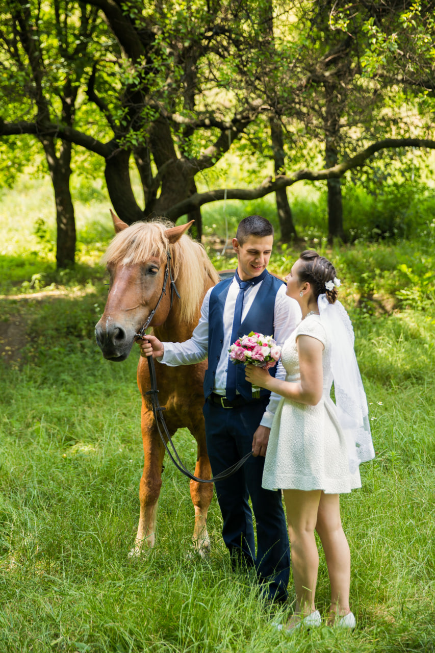 hochzeitsfotograf lübeck Galerie Horse
