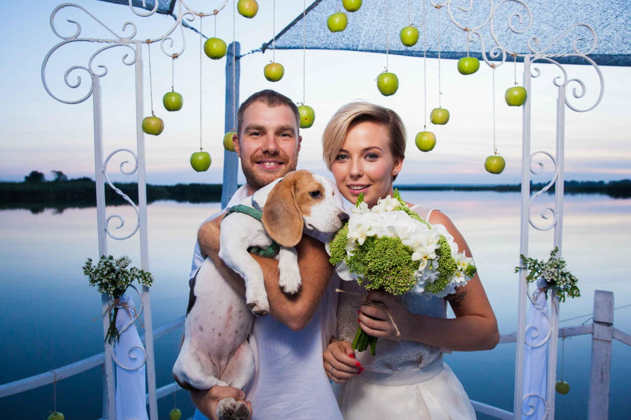 hochzeitsfotograf lübeck Galerie hochzeit tag mit hund und Blumen