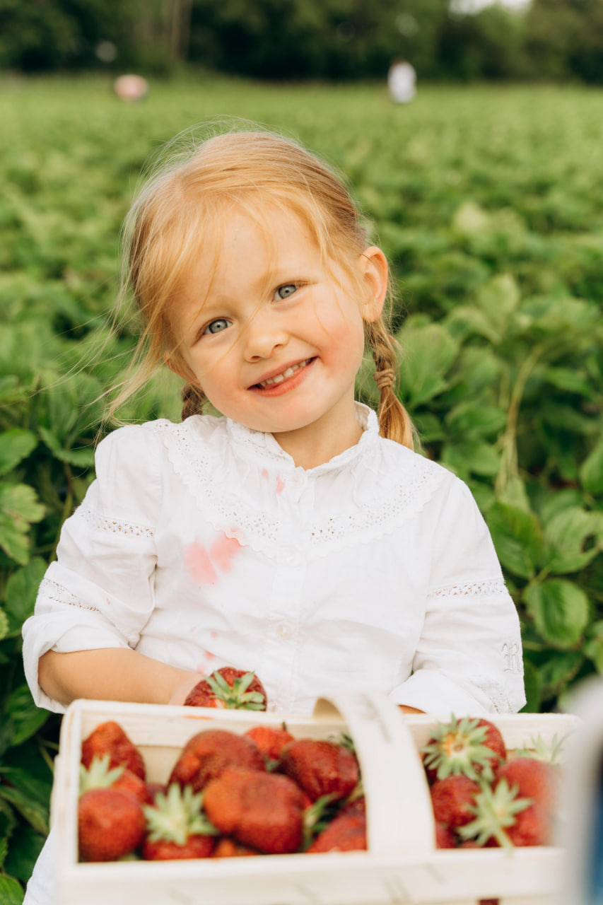 hochzeitsfotograf lübeck familien fotoshooting