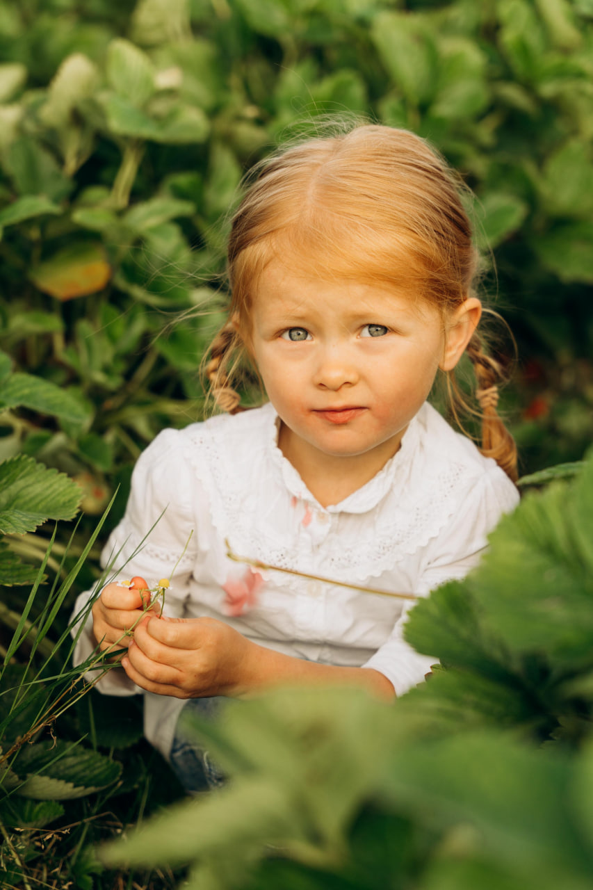 hochzeitsfotograf lübeck familien fotoshooting